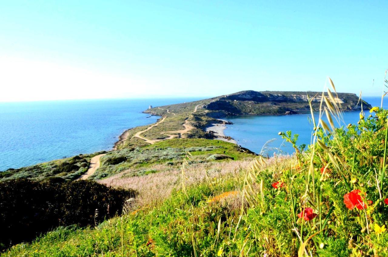 Agriturismo S'Incant'E Sinis San Salvatore  Dış mekan fotoğraf