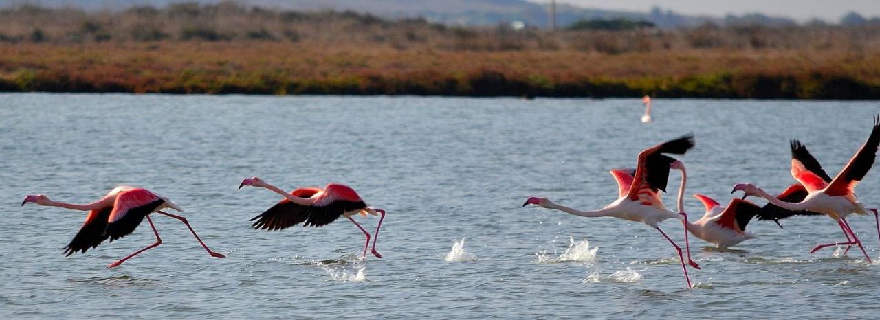 Agriturismo S'Incant'E Sinis San Salvatore  Dış mekan fotoğraf